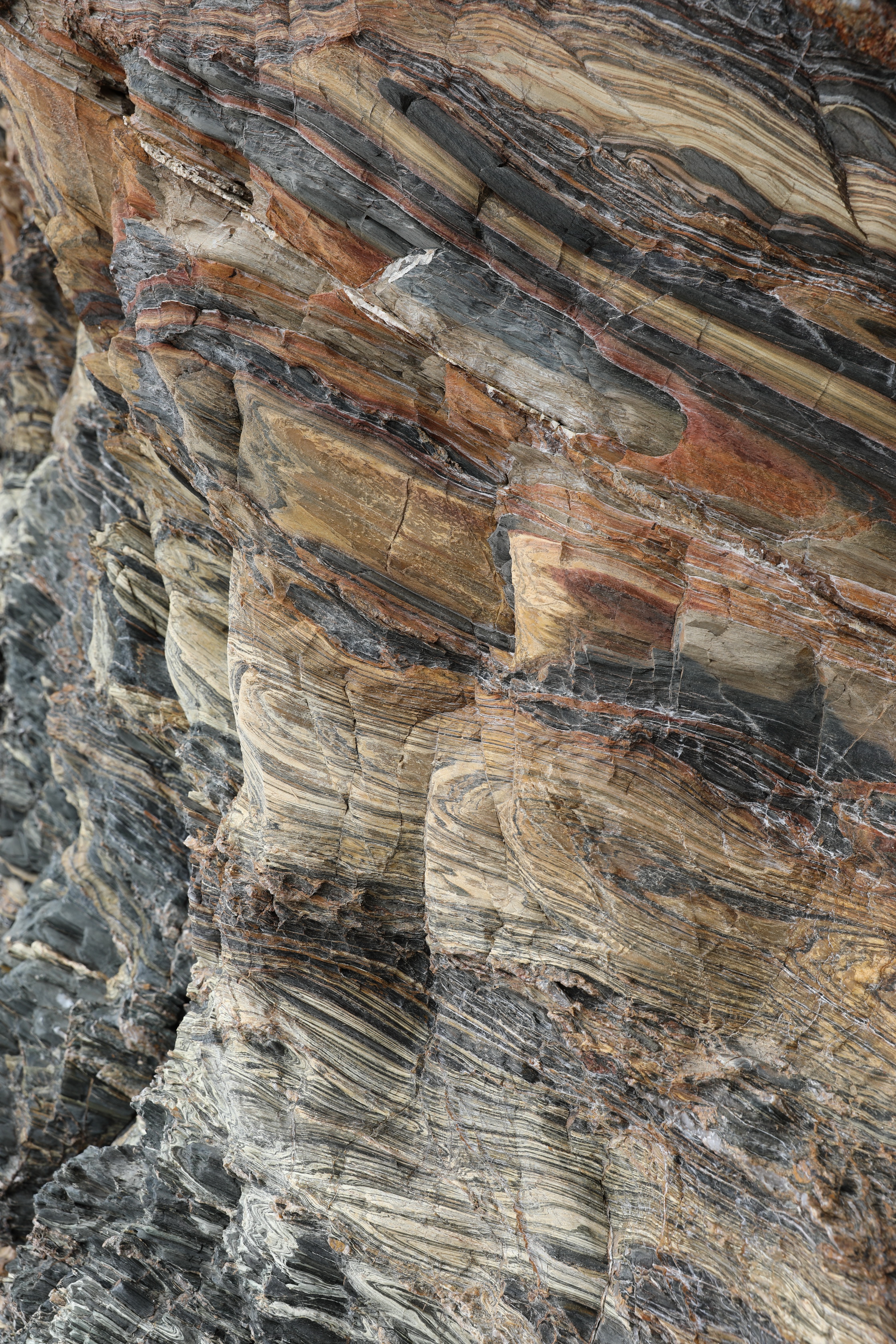 2019 09 28 13 29 25 Canon EOS 5D Mark IV 0011